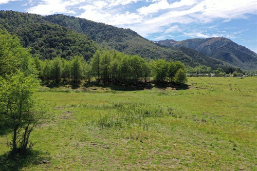 Terreno 5.000 M2 A Pocos Metros Pueblo Malalcahuello