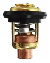 Comprar Kit 2 Válvulas Termostáticas Motor Popa Mercury 150 175 Hp