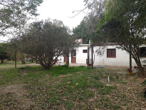 Imagen 6 de 7 de Terreno De 13600mts2. C7 Casa 4 Habit. Y Galpon. A. Leyes K