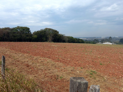 Imagem 8 de 12 de O05- Terreno 450m² Por Apenas R$15.000,00 Entrada