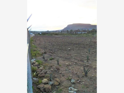 Imagen 8 de 10 de Terreno En Venta Vitiug
