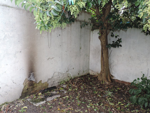 Imagen 4 de 5 de Casa En Zona Centrica Con Alta Renta Anual
