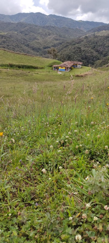 Se Vende Finca En La Vereda El Cardal La Union Antioquia