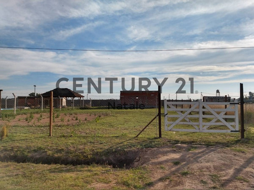 Imagen 2 de 5 de Terreno En Venta. Sicardi, 20 Bis Entre 672 Y 673. Escritura Directa