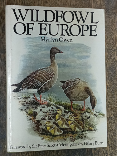 Wildfowl Of Europe * Myrfyn Owen * Mcmillan *