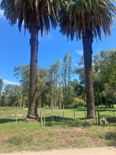 Imagen 1 de 2 de Lote En Venta En La Plata, Ruta 2