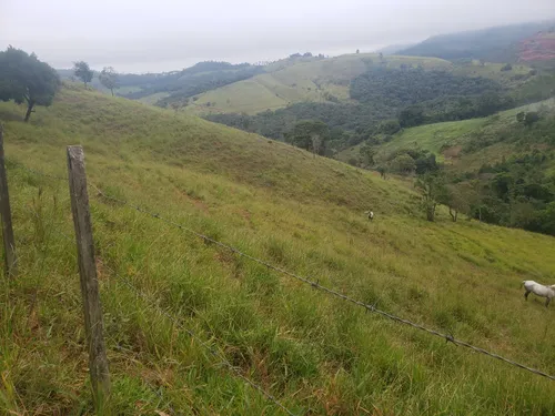 Sitio Em Caldas M G
