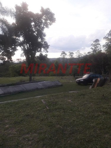 Imagem 15 de 18 de Terreno Em São Vicente - Mairiporã, Sp - 371687