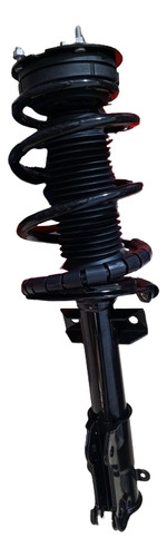 Amortiguador Delantero Con Espiral Strut Ford Mustang 05-10