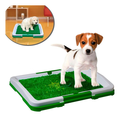 Baño De Grass Sintético Pequeño Para Perros 