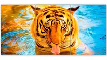 Comprar Cuadro Triptico Tigres Varios Modelos 60x120 (2)