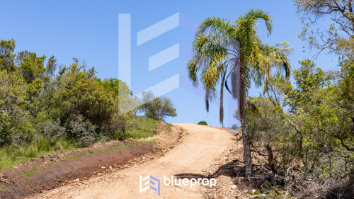 Promo! Desde 30% De Descuento En Tu Chacra: Sierras Del Eden; Chacras De 5 Has A 17 Minutos De Pueblo Edén!
