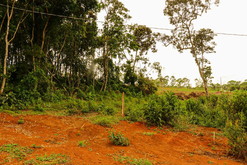 Terreno À Venda Em Itapecerica Da Serra Oportunidade