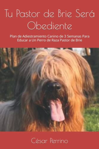 Tu Pastor De Brie Sera Obediente: Plan De Adiestramiento Can