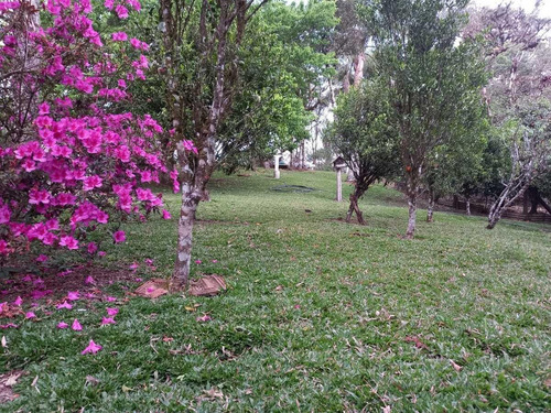 Imagem 8 de 15 de Sítio / Chácara Para Venda Em São José Dos Pinhais, Área Rural De São José Dos Pinhais, 2 Dormitórios, 1 Banheiro - 108_2-1240645