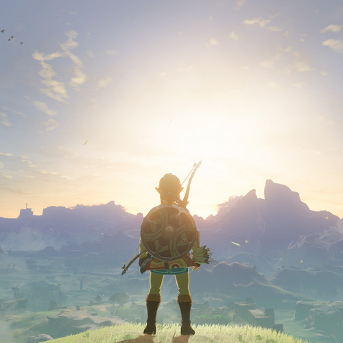 The Legend Of Zelda Breath Of The Wild Nintendo Switch 2