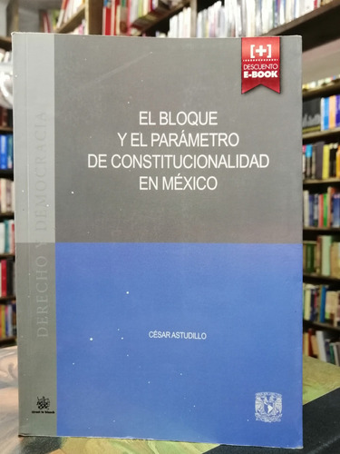 Libro. El Bloque Y El Parámetro De Constitu... Astudillo