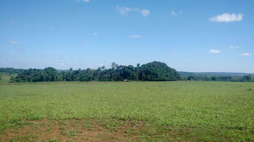 Imagem 2 de 9 de Fazenda Dupla Aptidão Município Campina Verde