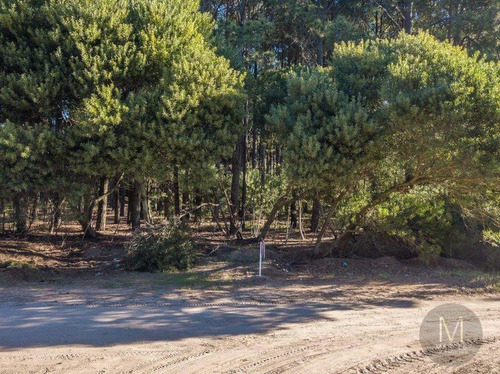 Imagen 9 de 9 de Lote En Venta - Pinamar Norte