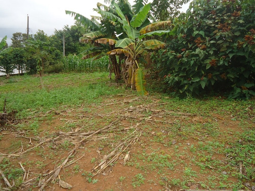 Imagem 12 de 13 de Boa Chácara Bairro Puris 1640,00m2