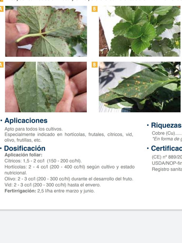 Cupratec 1lt Cobre Sistémico Bactericida Ecológico Biodegrad