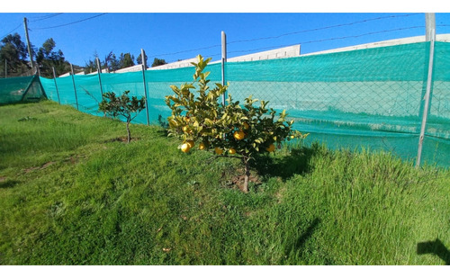 Se Vende Acogedora Parcela En Los Laureles Limache