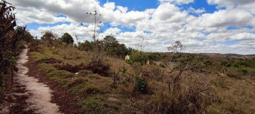 Imagem 6 de 15 de Lote Em Esmeraldas - Te00420 - 70076598