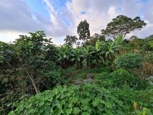 Imagen 10 de 14 de Finca En Cachipay Cundinamarca