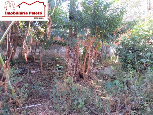 Imagem 13 de 13 de Casa - 185 - 69804795