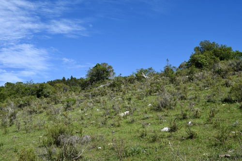 Imagen 7 de 7 de Venta Chacra Sierras De Minas Arroyo 13 Has