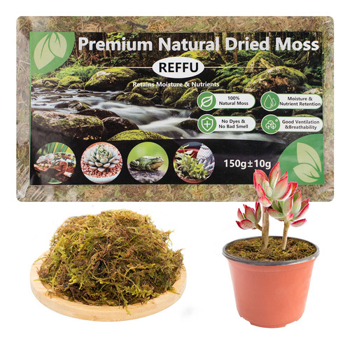 Reffu Musgo Esfagnum Natural, Musgo De Bosque Seco De Primer