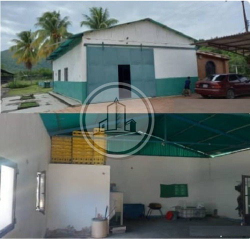 Imagen 2 de 6 de Granja Avicola En Venta En San Francisco De Asis Edo Aragua 020jsc