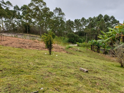 Imagem 25 de 29 de Oportunidade Chacara Biuna 2.000 M Casa,pomar,horta E Murada