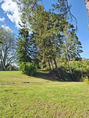 Vendo Finca En Guarne, Vereda La Batea