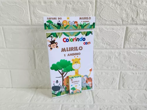 Kit Livro de Colorir + giz de cera