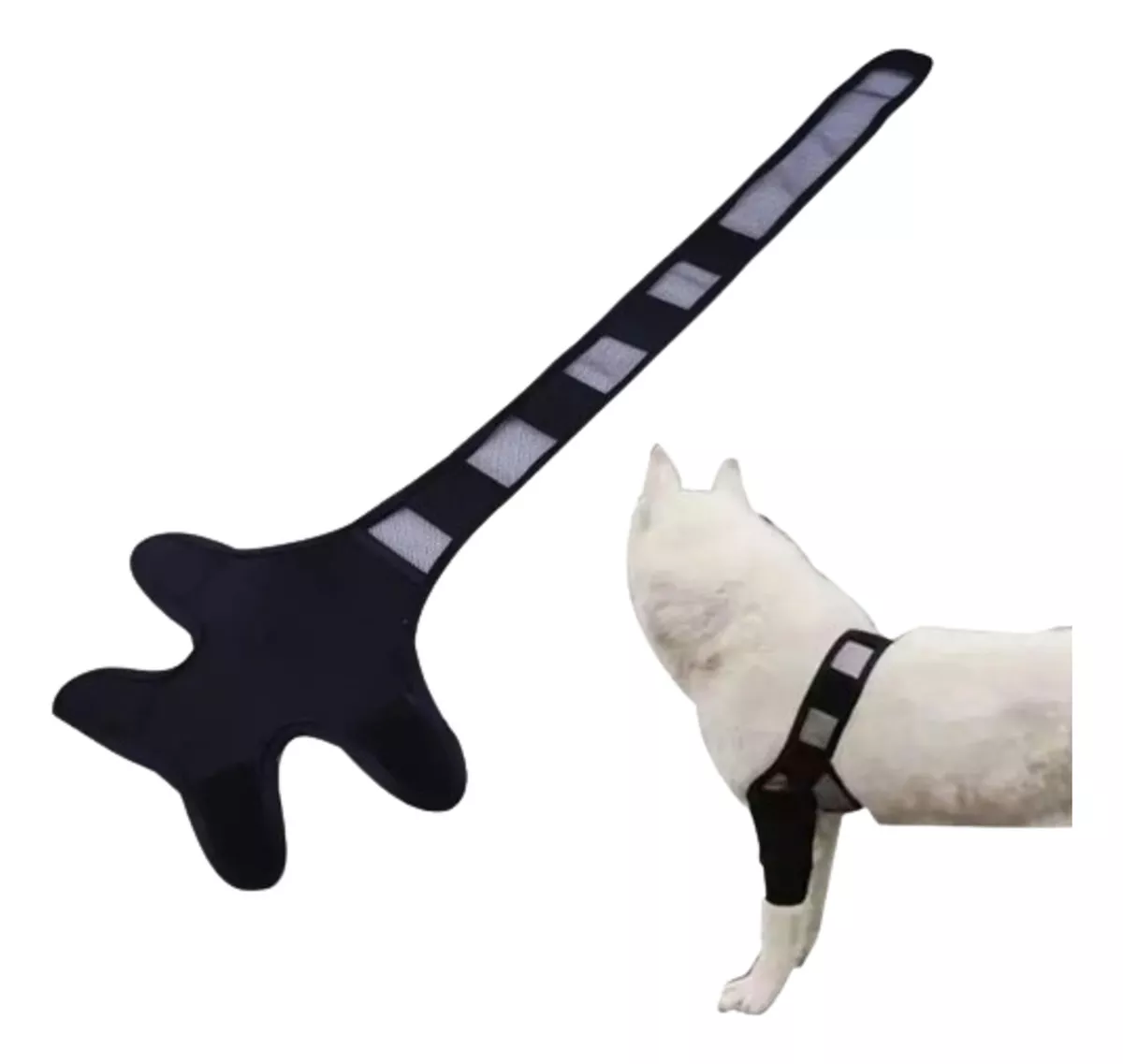 Primera imagen para búsqueda de ortopedia para perros