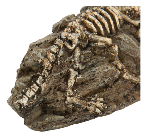 Adorno De Resina Para Acuario Con Diseño De Fósil De Dinosau