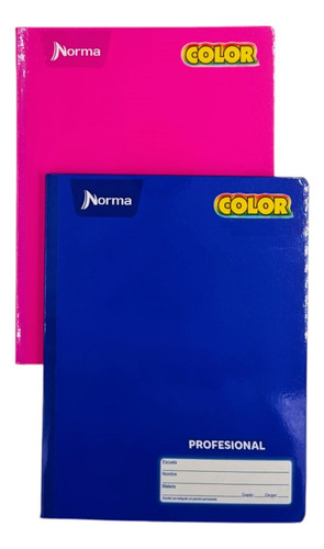 2 Cuaderno Cosido Tamaño Profesional Norma 100 Hojas