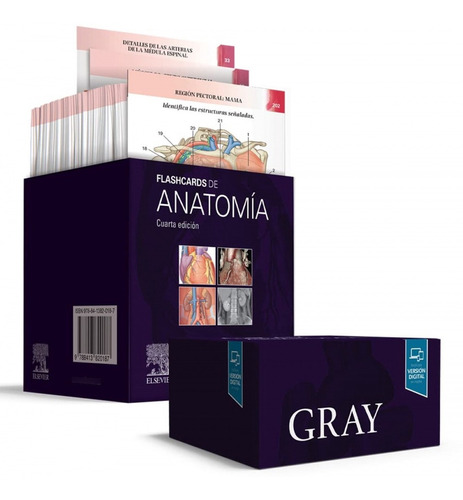 Libro: Gray. Flashcards De Anatomía. Vv.aa.. Elsevier Editor