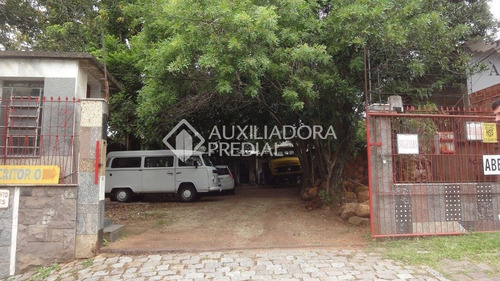 Imagem 2 de 11 de Terreno - Protasio Alves - Ref: 237184 - V-237184
