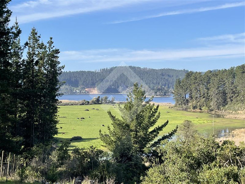 Oportunidad !!!! Sitios Con Linda Vista Lago Vichuquen