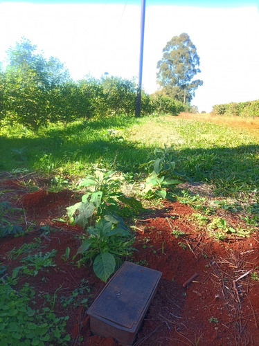 Vendo Chacra De 5,70 Hectareas De Te