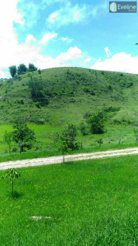 Imagem 11 de 14 de Fazenda Com 2 Dorms, Cézar De Souza, Mogi Das Cruzes - R$ 2 Mi, Cod: 722 - V722