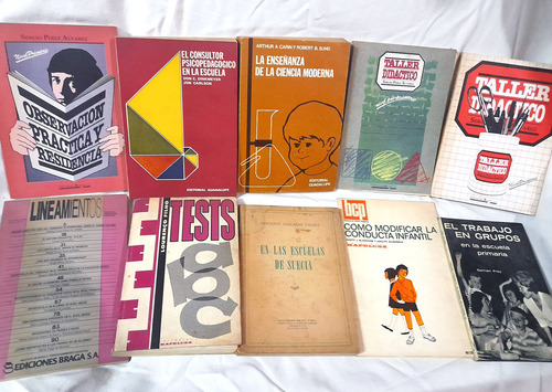 Lote 10 Libros- Didáctica Pedagogía Enseñanza Primaria 