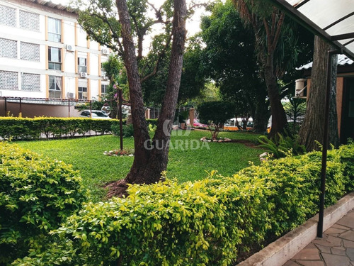 Imagem 3 de 15 de Apartamento - Gloria - Ref: 209558 - V-209670
