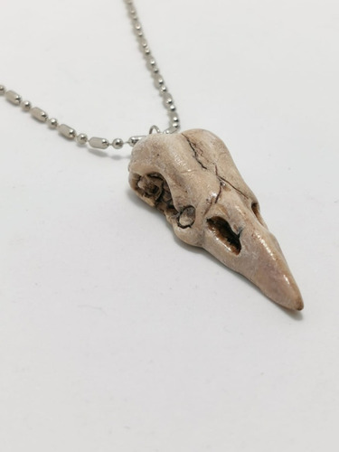 Imagen 3 de 4 de Collar Dije Cráneo Cuervo Calavera Skull Envío Gratis