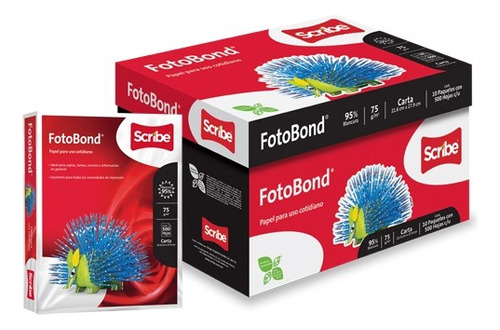 Caja Papel Scribe Foto Bond Carta Con 5000 Hojas