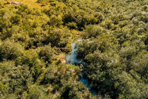 Oportunidad-venta De Chacras De 5 Hectareas-maldonado