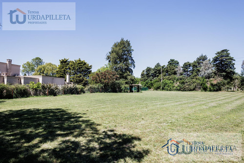 Amplio Lote De 2.591 -teresa Urdapilleta Propiedades-martindale C.c. -