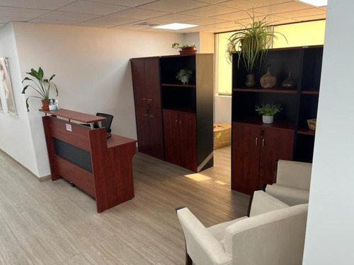 Oficina Nueva De Lyon - Av Andrés Bello/avenida Providencia
